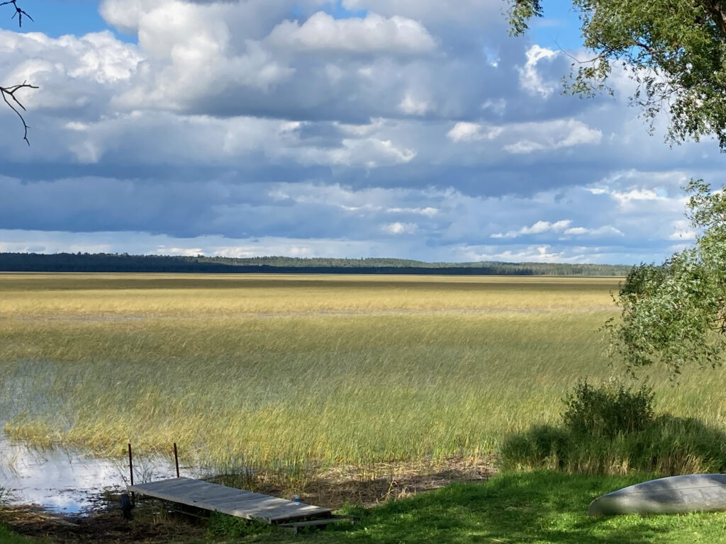 Nett Lake: indigenous food sovereignty
